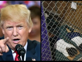 Donald Trump juxtaposed with kids in cages at the border